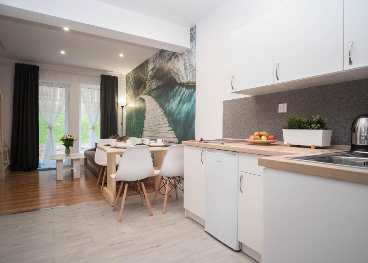 Apartamenty Goszowita Строне-Слёнске Экстерьер фото